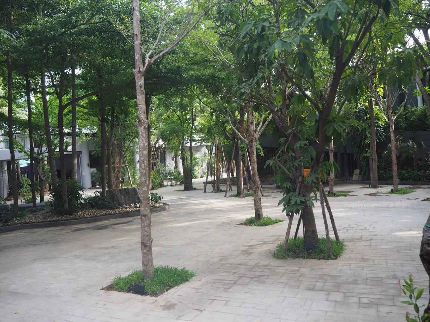 BB House Chaingmai Garten