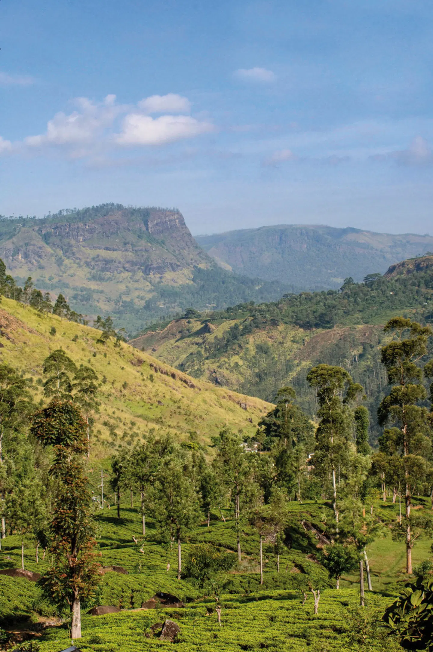 The Grand Hotel LANDSCAPE