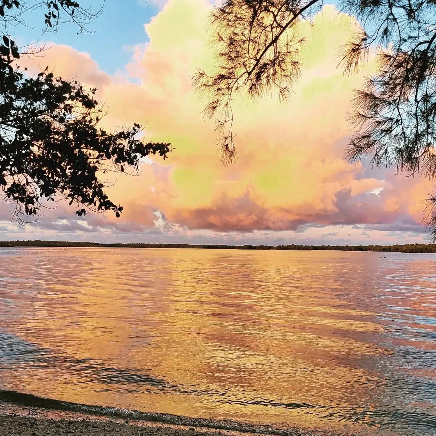 Parkway Motel & Marina LANDSCAPE