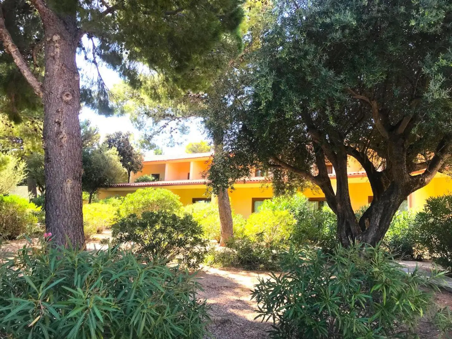 Club Esse Palmasera Garten