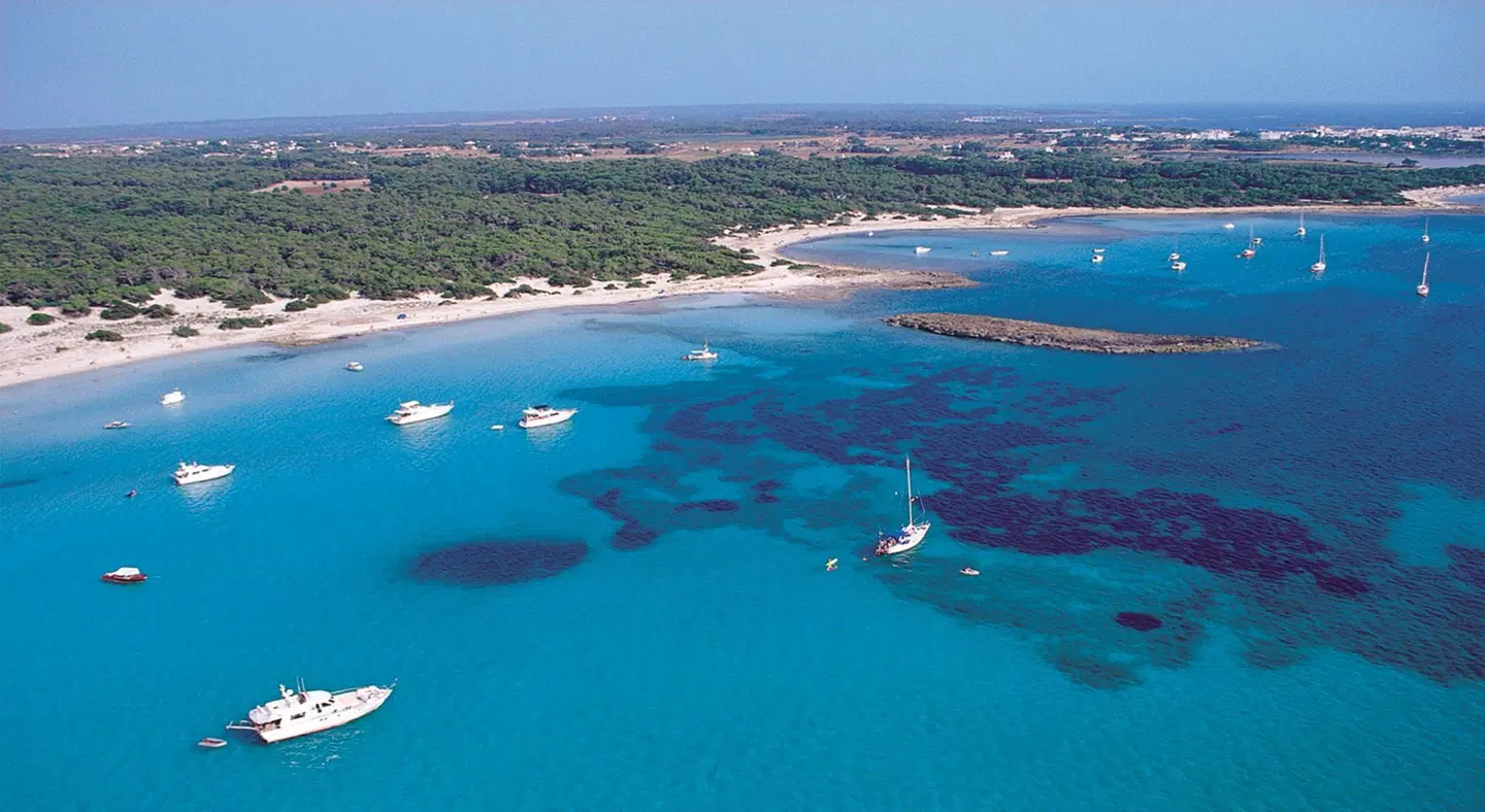 Universal Romantica LANDSCAPE