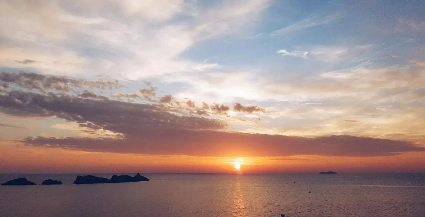 Royal Palm Hotel LANDSCAPE