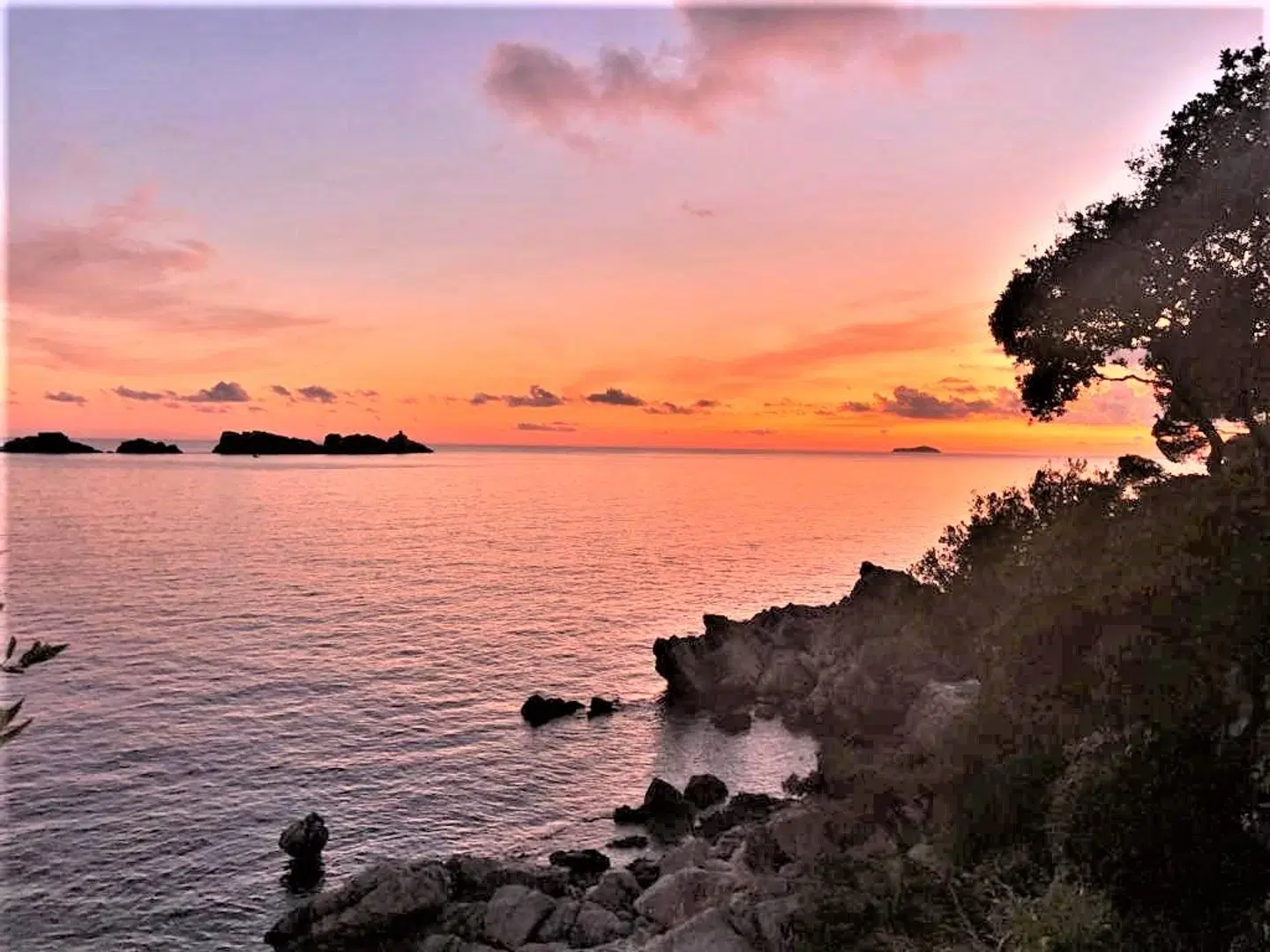 Royal Palm Hotel LANDSCAPE