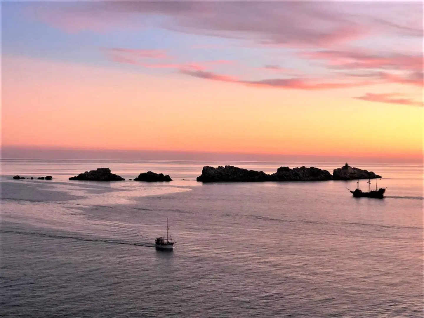 Royal Palm Hotel LANDSCAPE