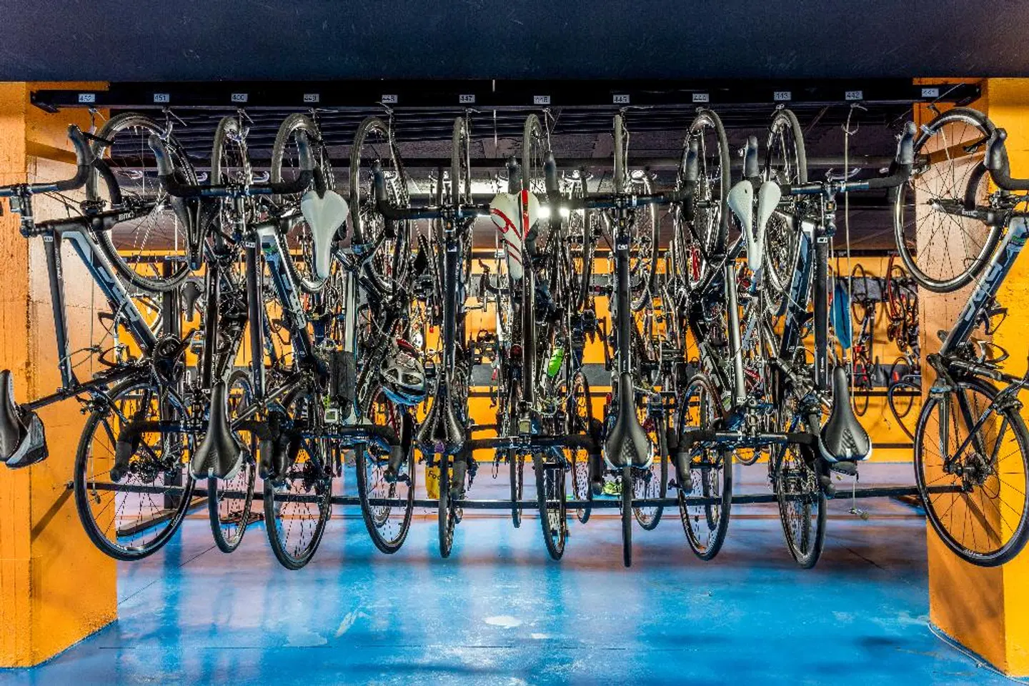 Globales Janeiro SPORTS_AND_LEISURE