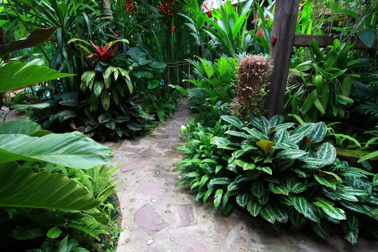 Shewe Wana Boutique Resort & Spa Garten