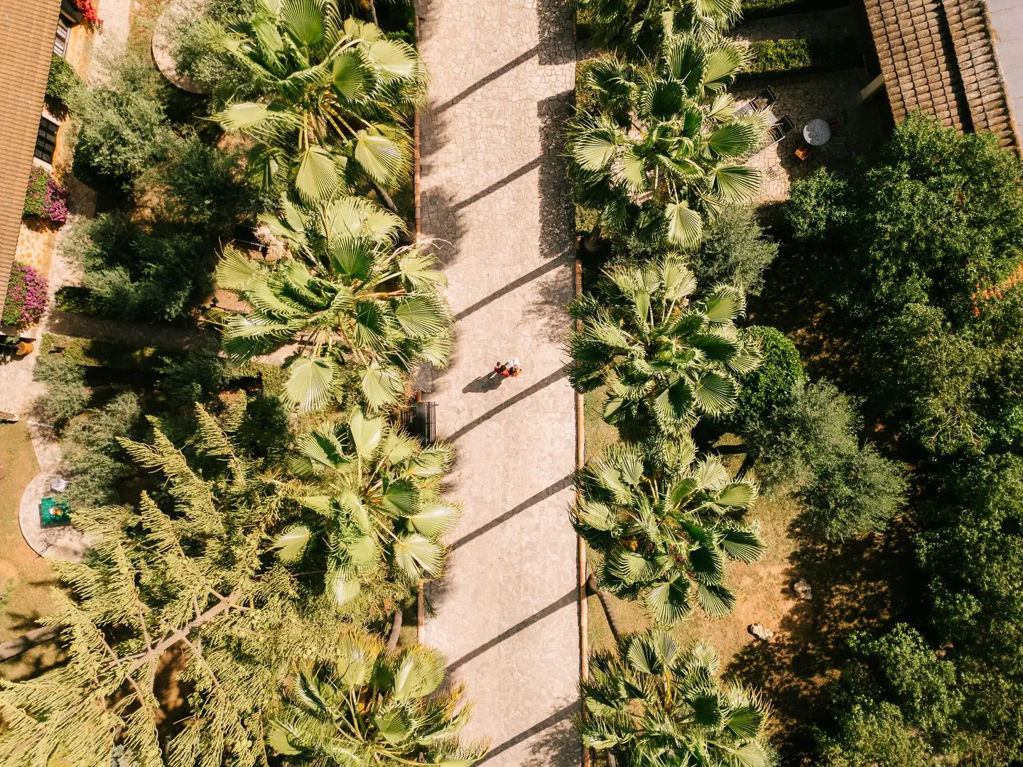 Son Moli Country House AERIAL_PHOTOGRAPH