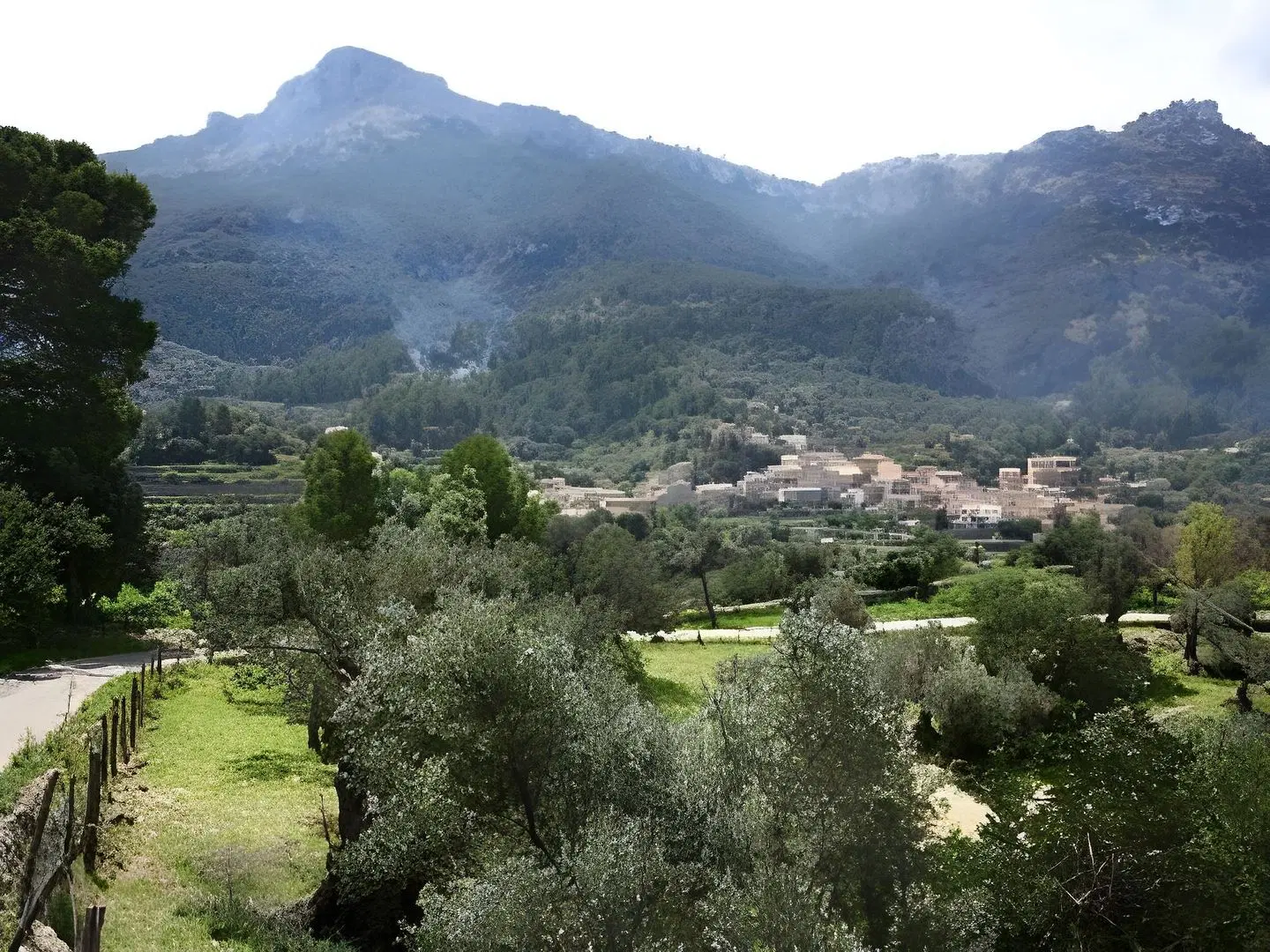 Rural Sa Plana Petit LANDSCAPE