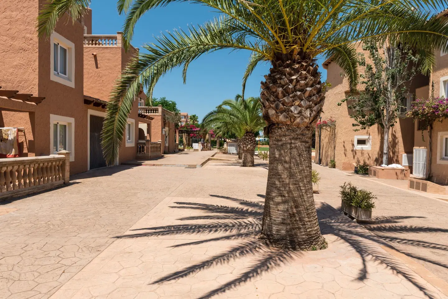 Ciudad Laurel Garten