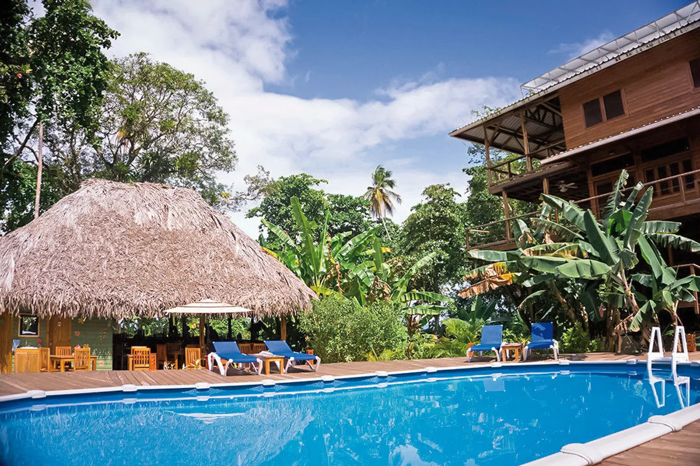 The Hummingbird OUTDOOR_POOL