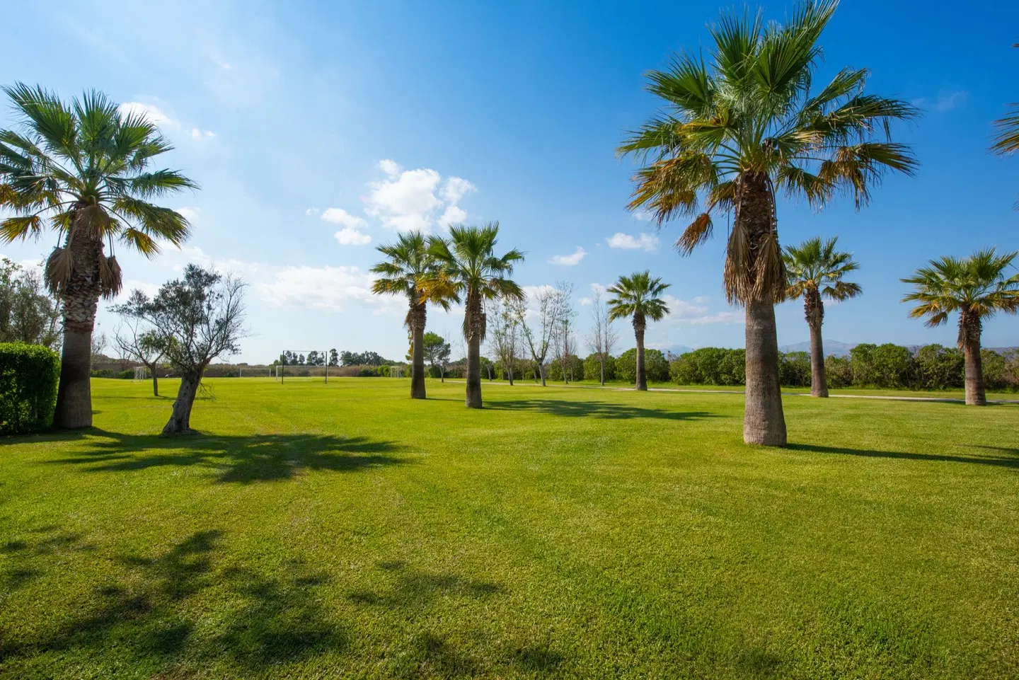 Valentin Playa de Muro Garten