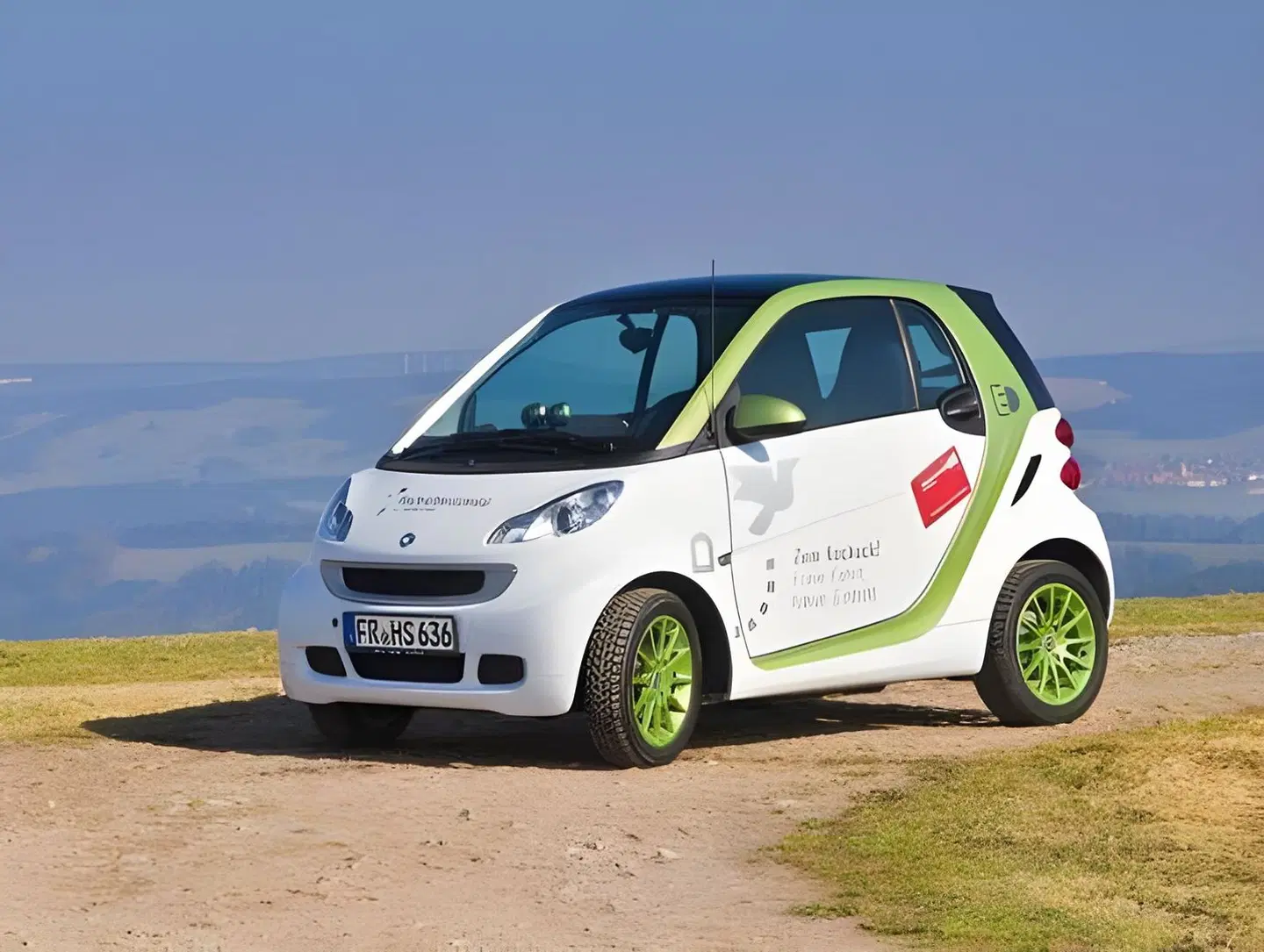 Silberdistel SPORTS_AND_LEISURE