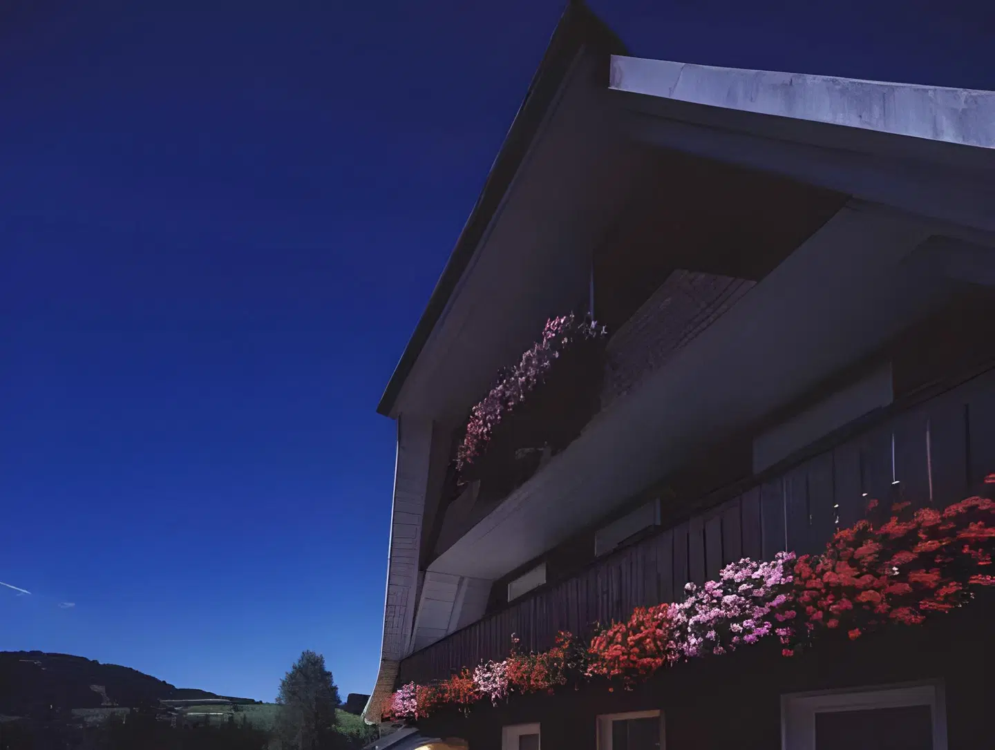 Silberdistel EXTERIOR