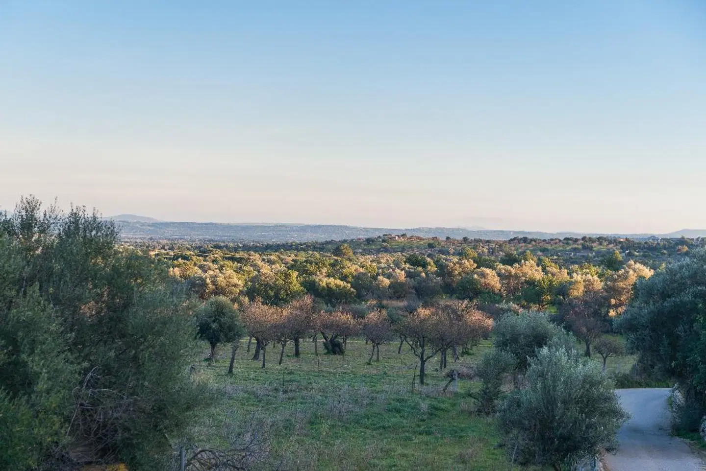 Rural New Can Furios LANDSCAPE