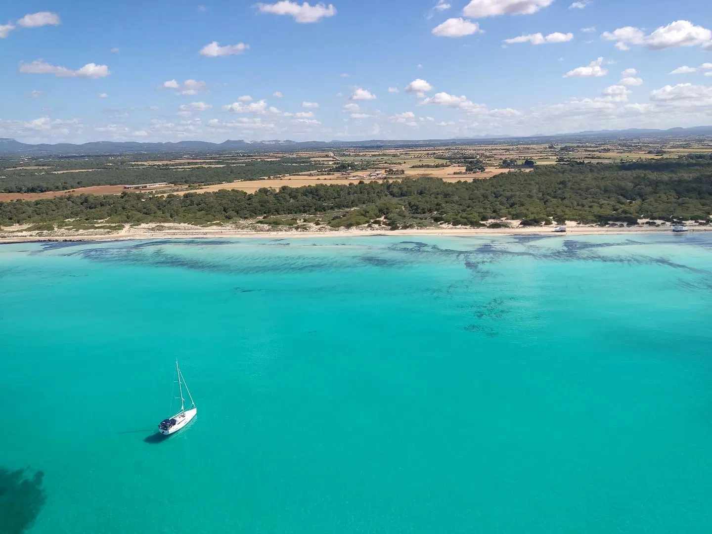 Garden Saladina BEACH