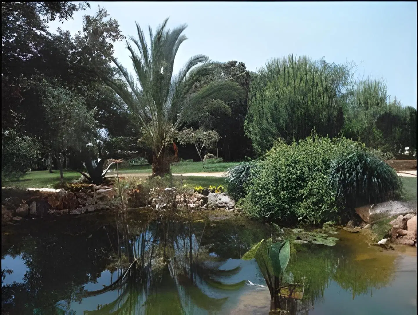 Finca Agroturismo Son Mercadal GARDEN