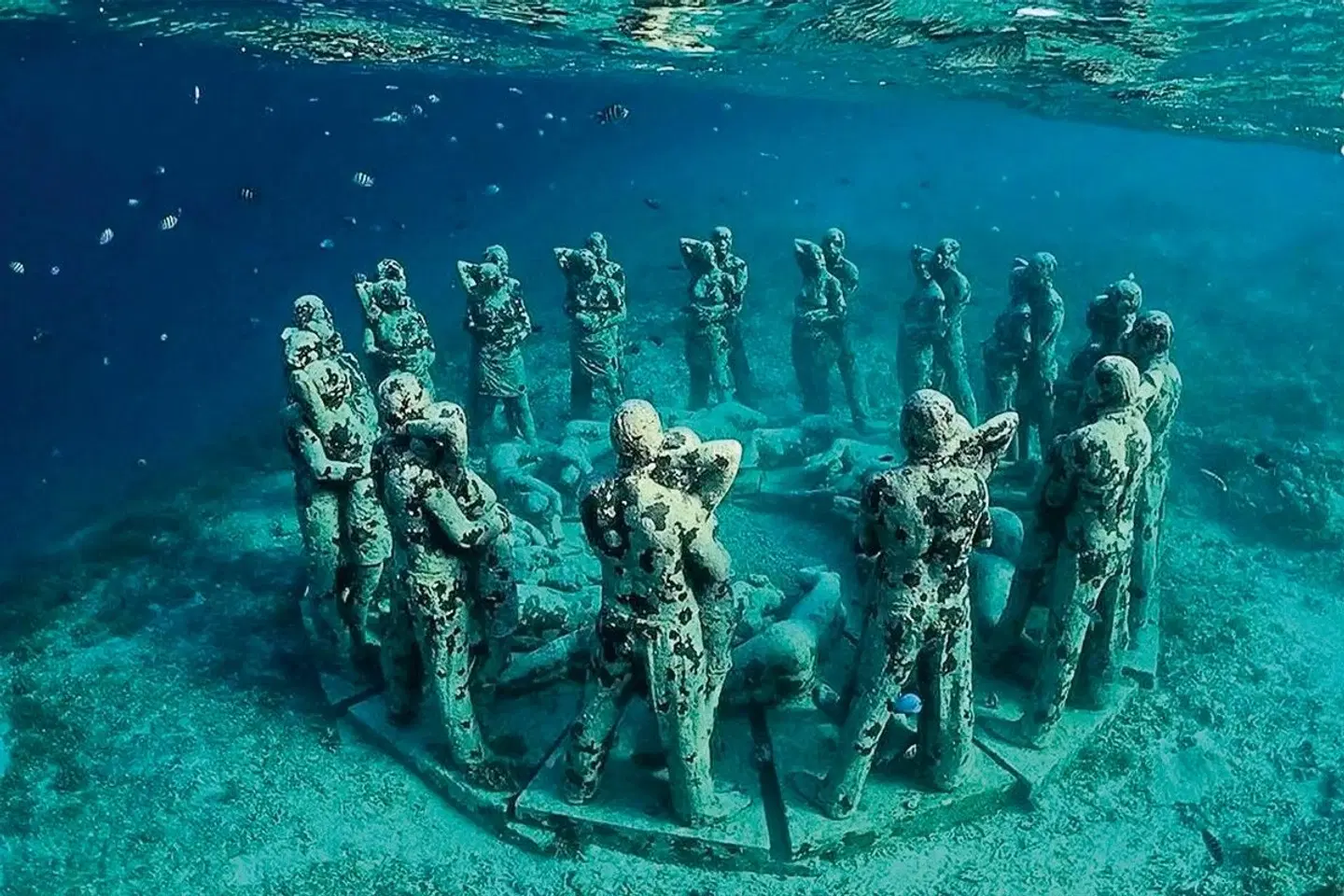 BASK Gili Meno LANDSCAPE