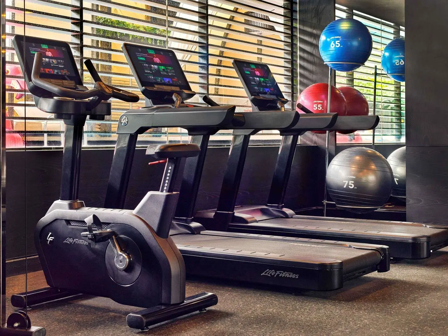 Pullman Singapore Orchard SPORTS_AND_LEISURE