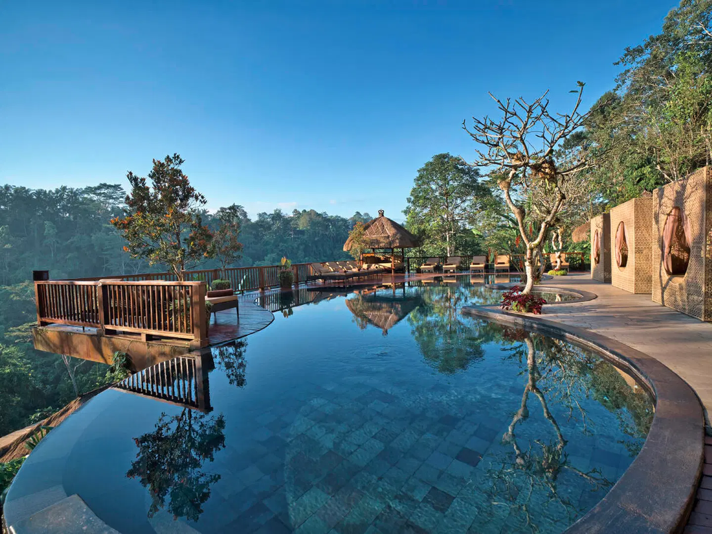 Nandini Jungle by Hanging Gardens OUTDOOR_POOL