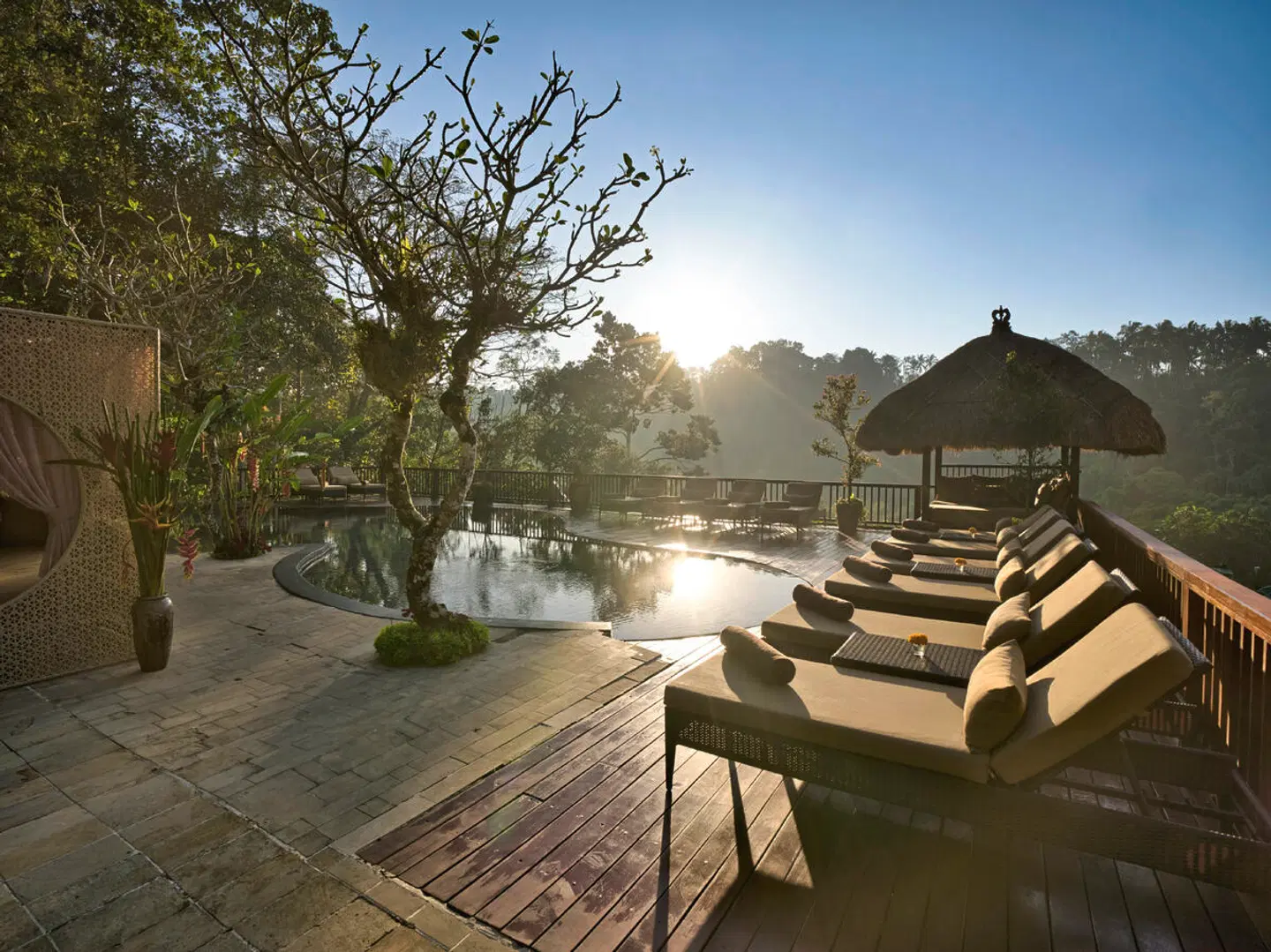 Nandini Jungle by Hanging Gardens Terrasse