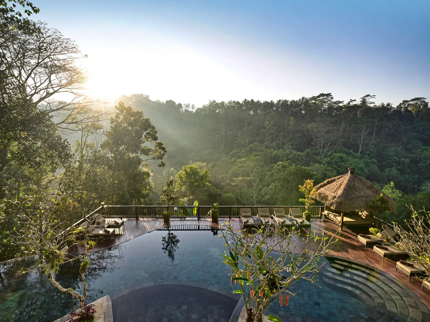 Nandini Jungle by Hanging Gardens Garten