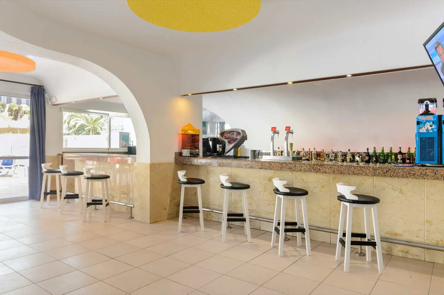 Vibra Palma Cactus Bar