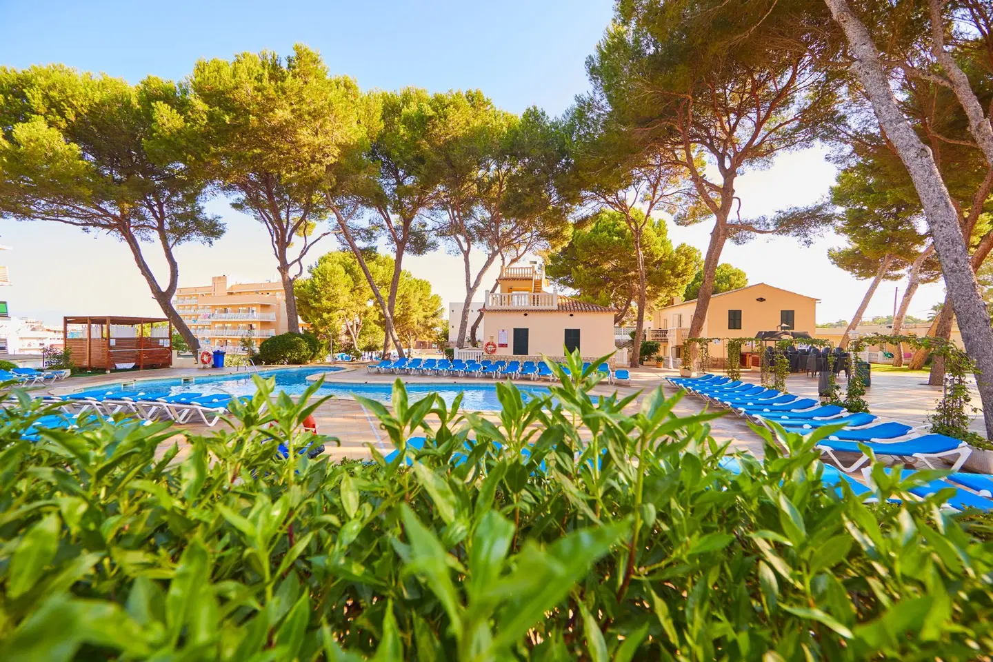 MLL Palma Bay Club Resort OUTDOOR_POOL