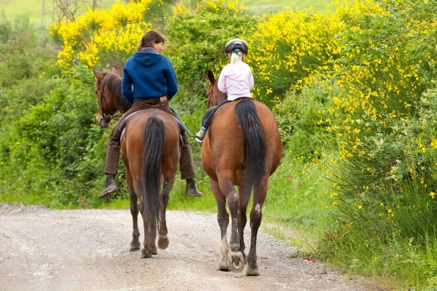Fattoria Pieve A Salti Tiere