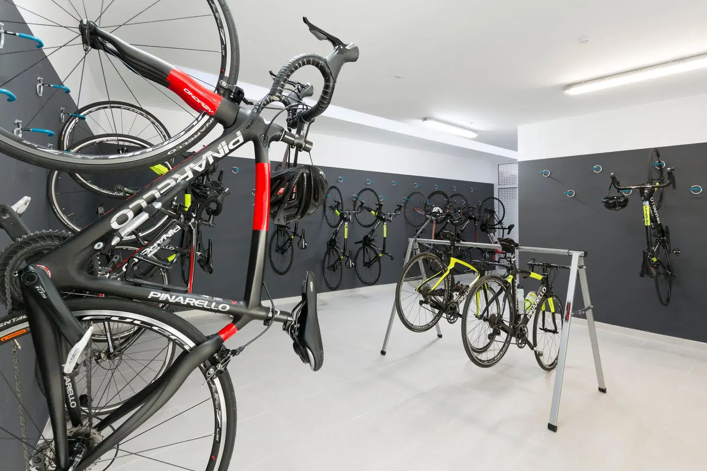 Reverence Mare SPORTS_AND_LEISURE