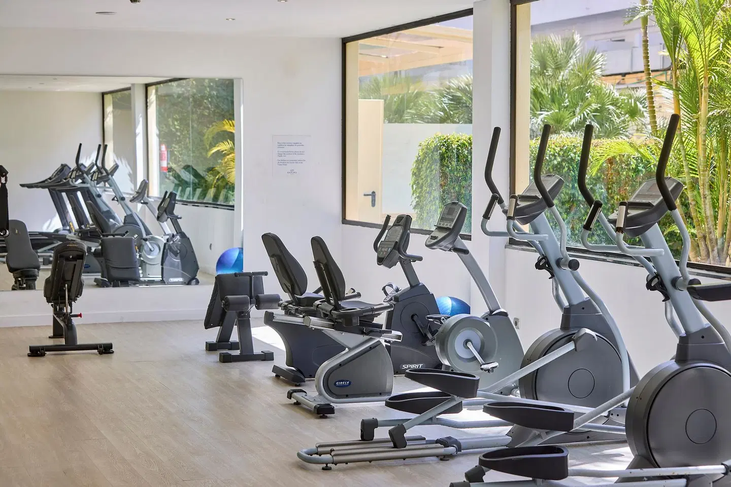 Zafiro Rey Don Jaime SPORTS_AND_LEISURE