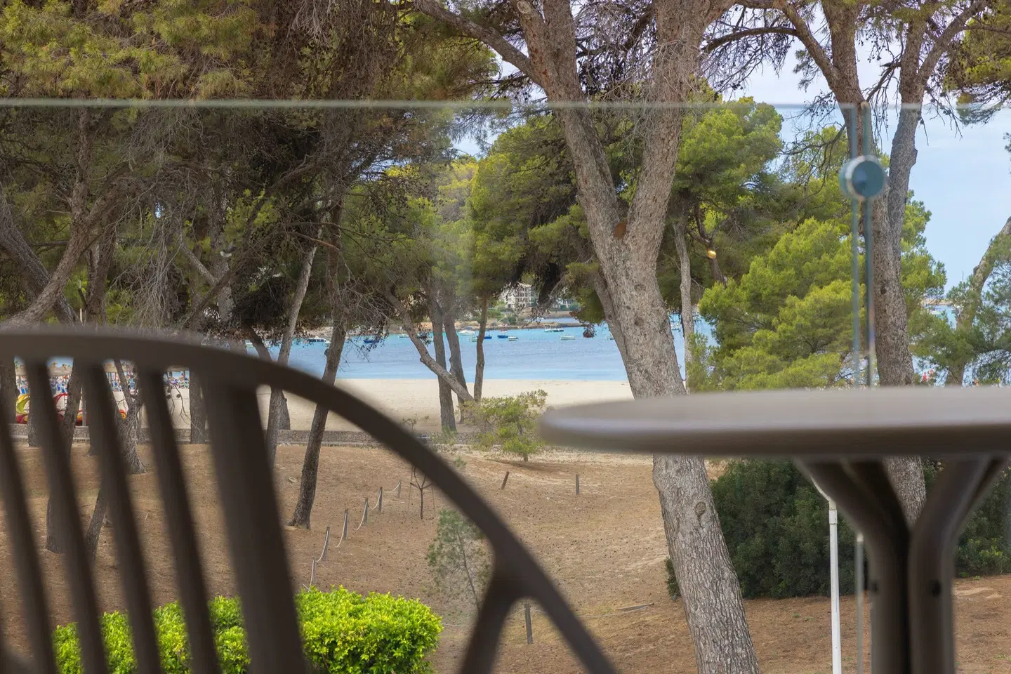 HM Isabela LANDSCAPE