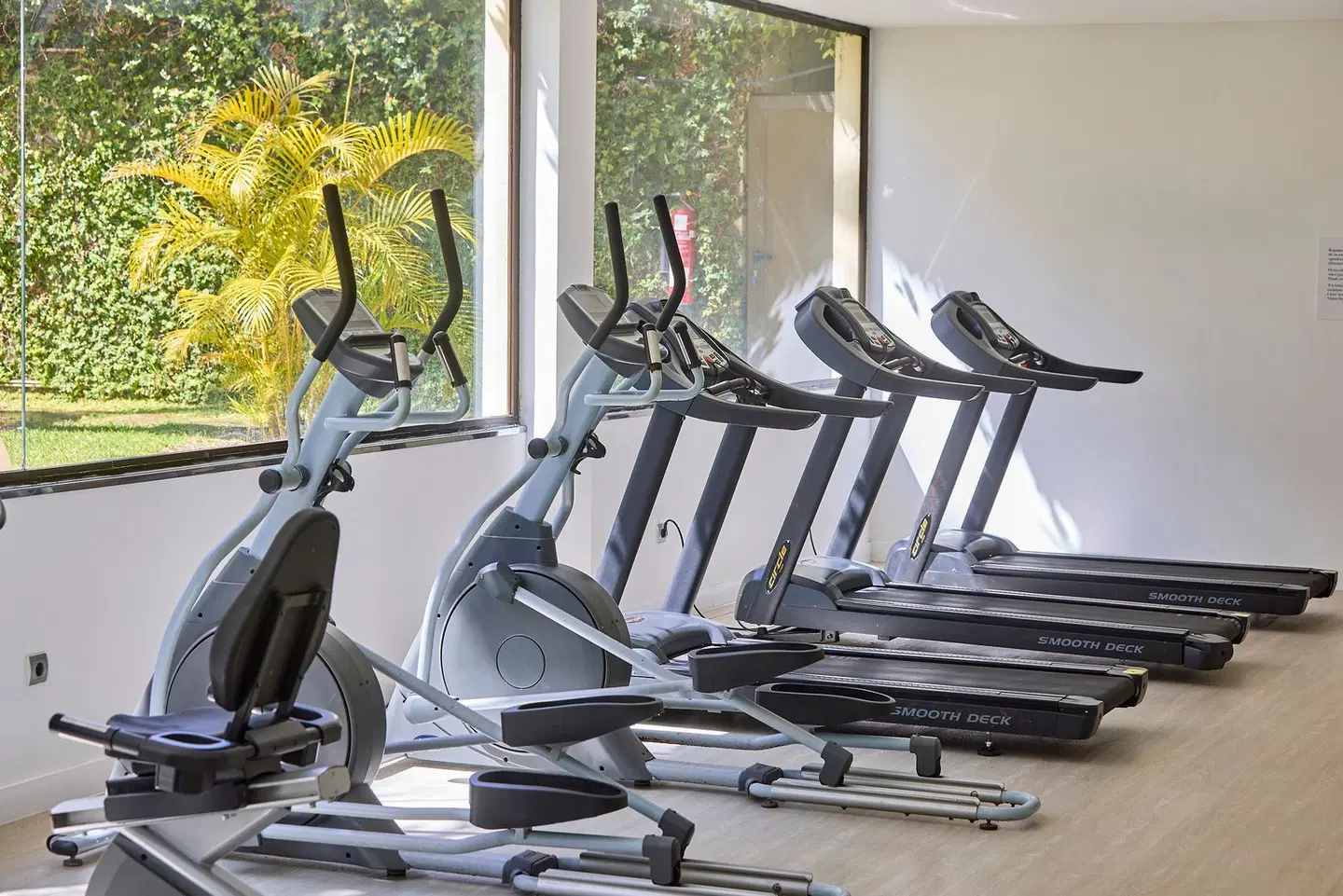 Zafiro Rey Don Jaime SPORTS_AND_LEISURE