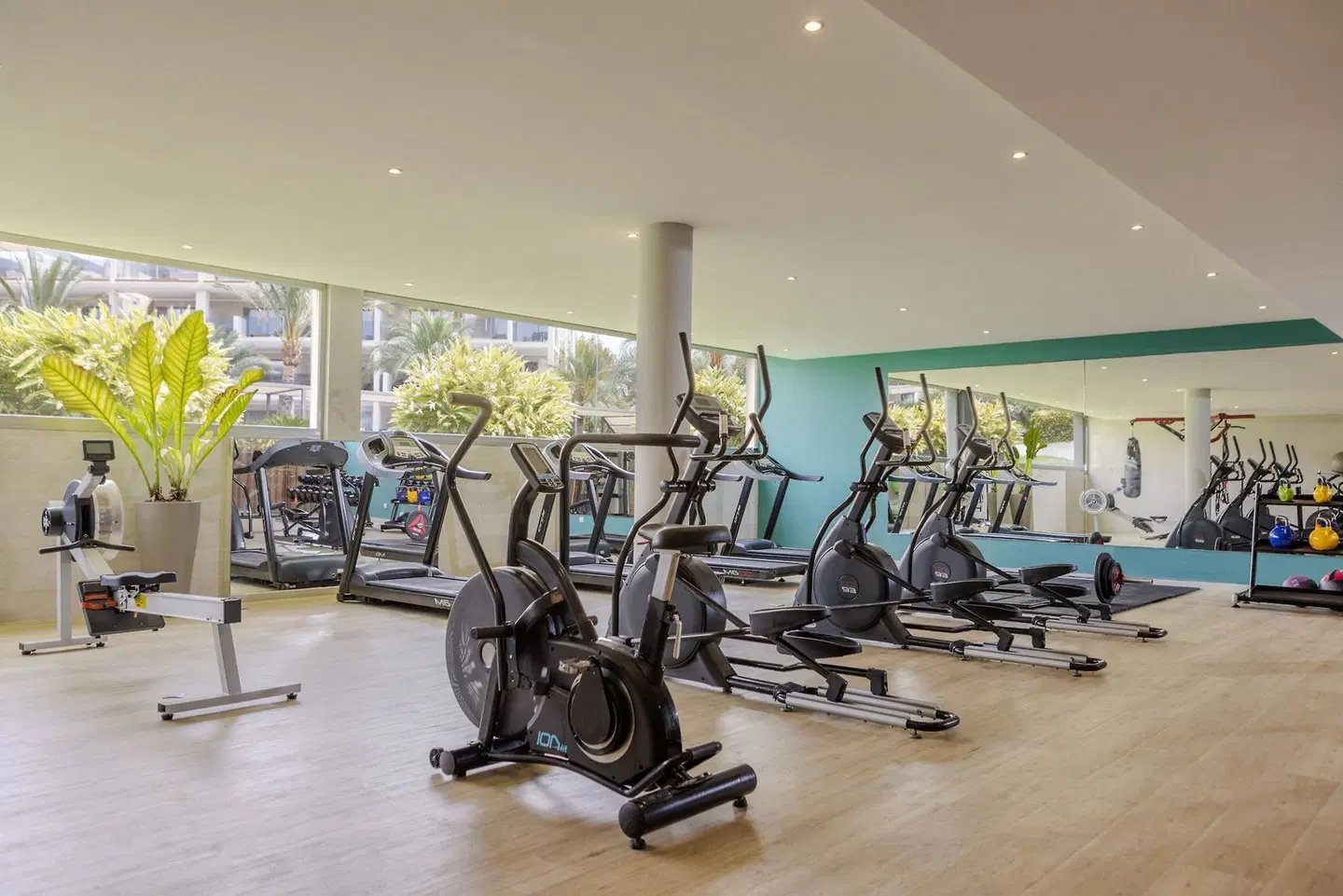 Zafiro Palace Palmanova SPORTS_AND_LEISURE