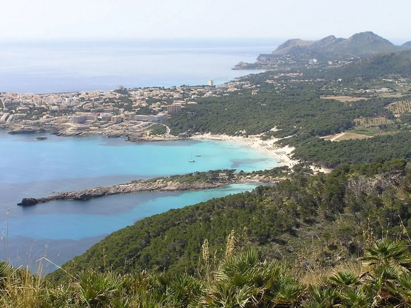 Bellavista LANDSCAPE