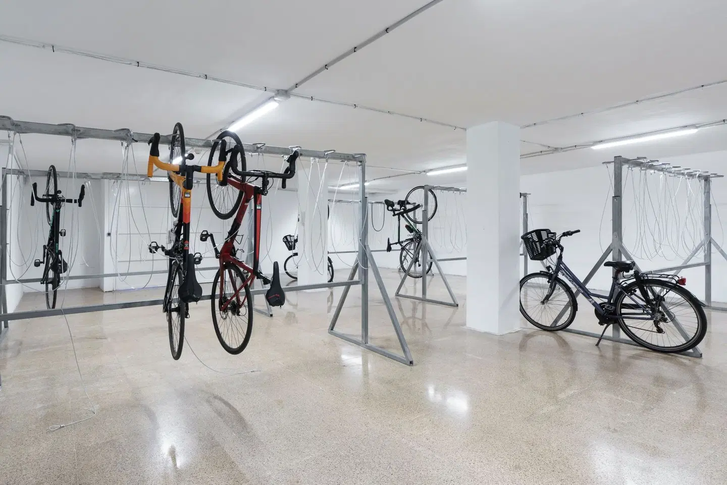 Alua Leo SPORTS_AND_LEISURE