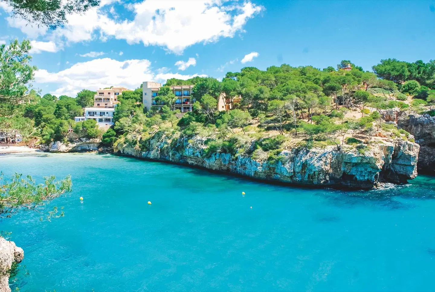 Pinos Playa LANDSCAPE