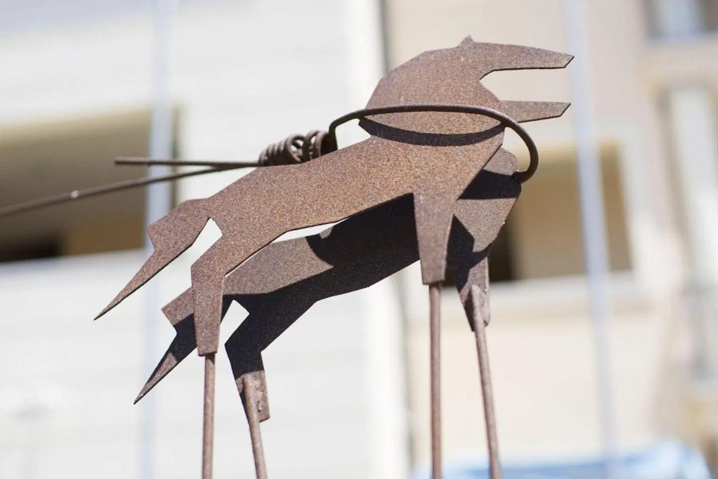 Olbia City Hotel Tiere