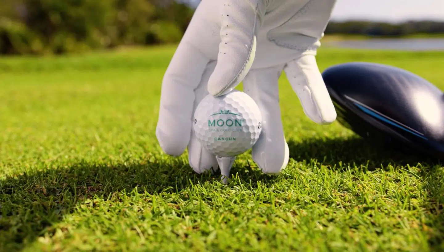 Moon Palace Cancún Tiere