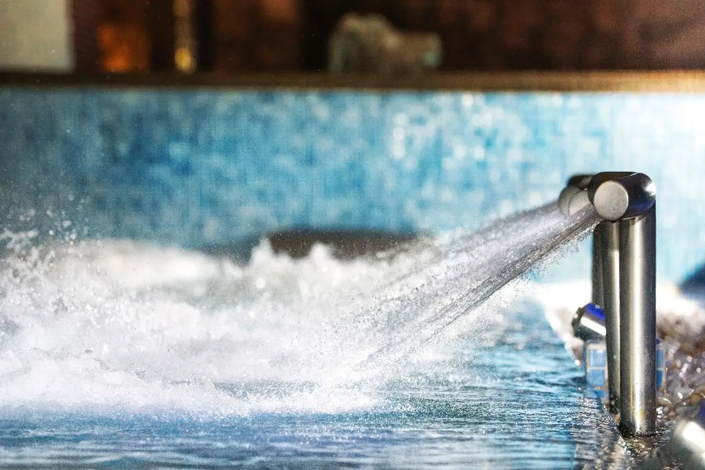 Sallés Marina Portals Tiere