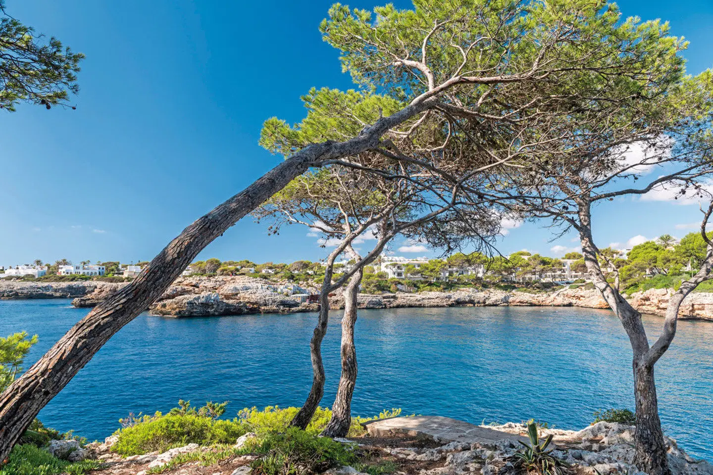 Inturotel Cala Azul LANDSCAPE