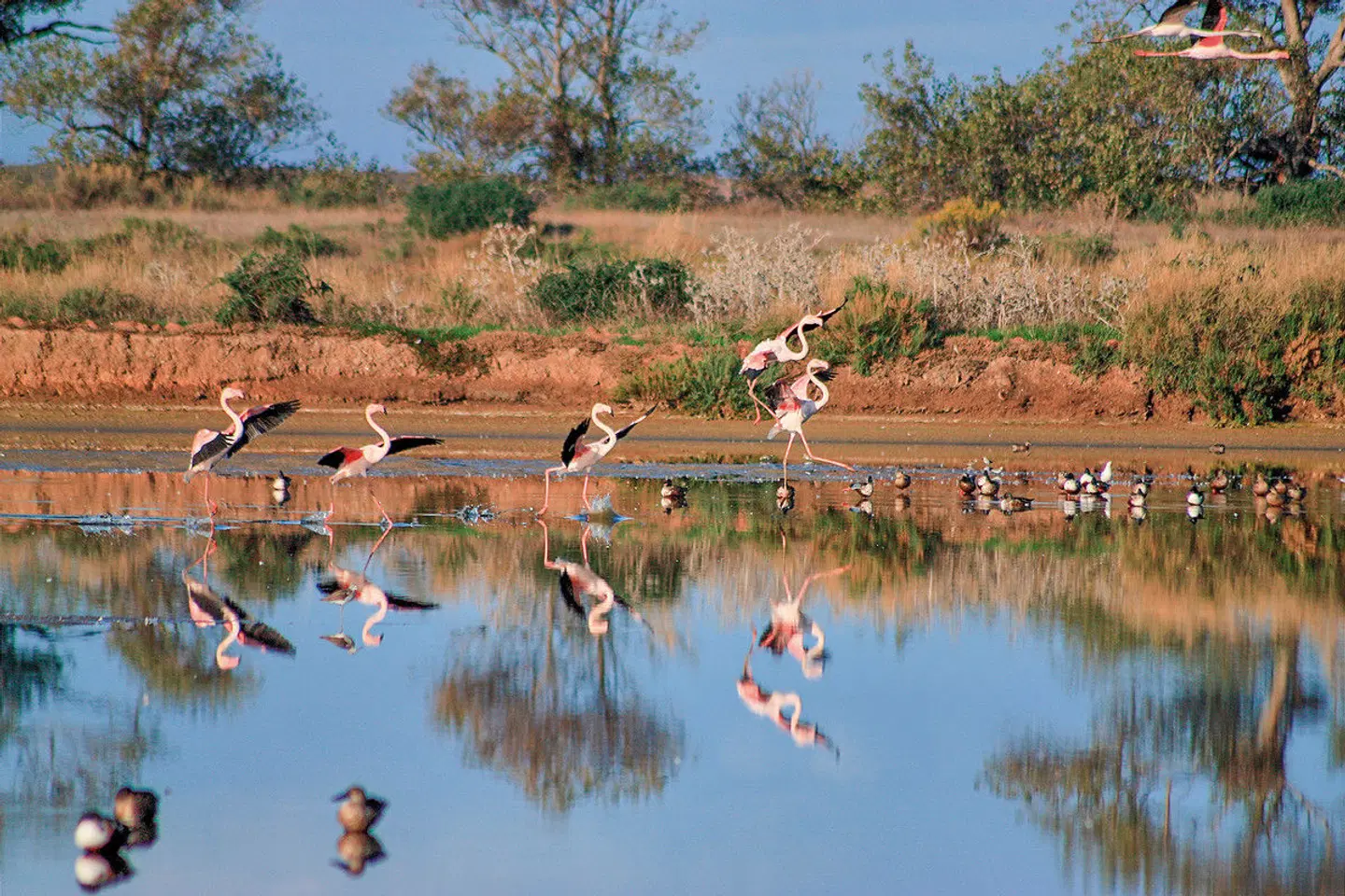 Die Highlights der Algarve erwandern LANDSCAPE