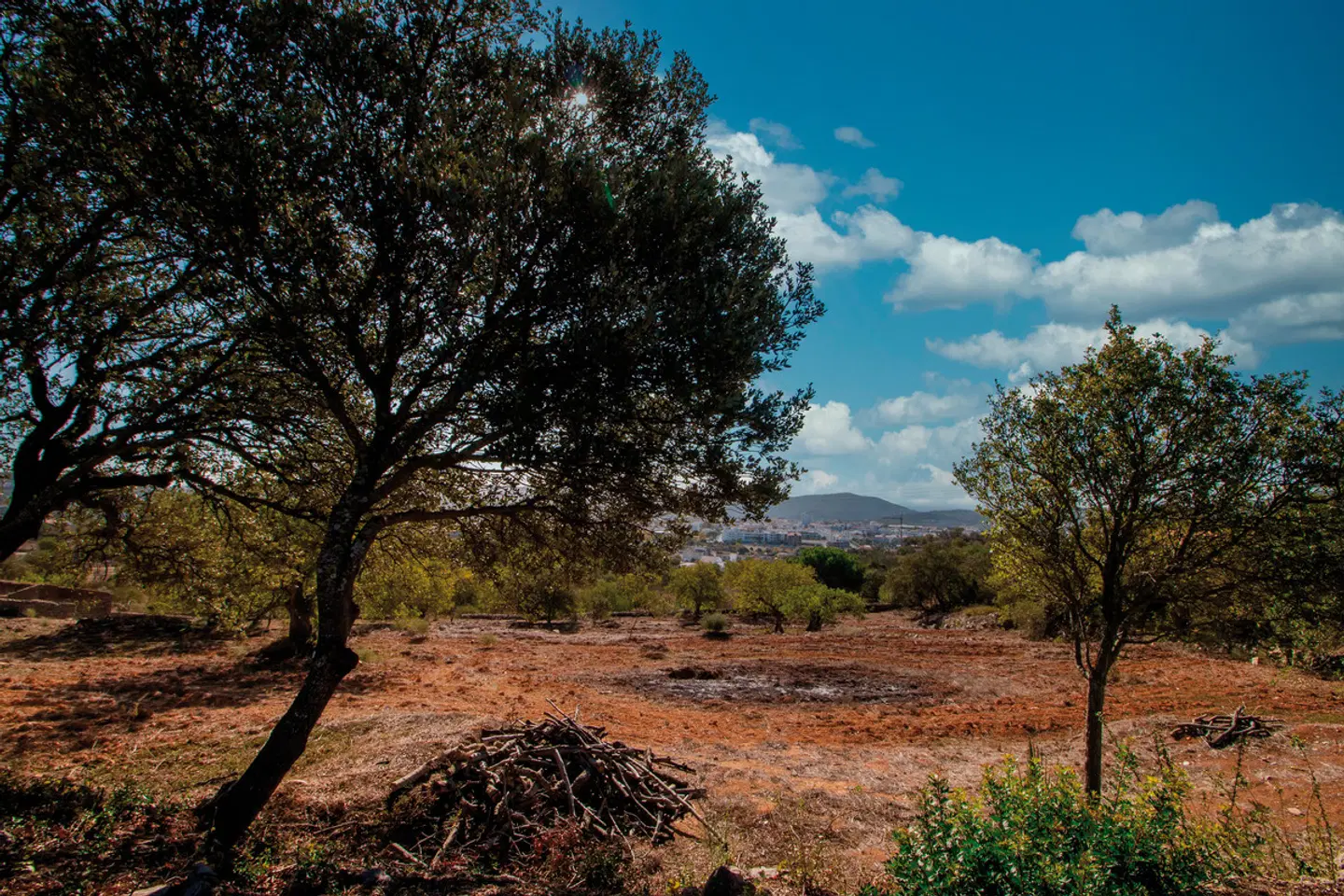 Die Highlights der Algarve erwandern LANDSCAPE