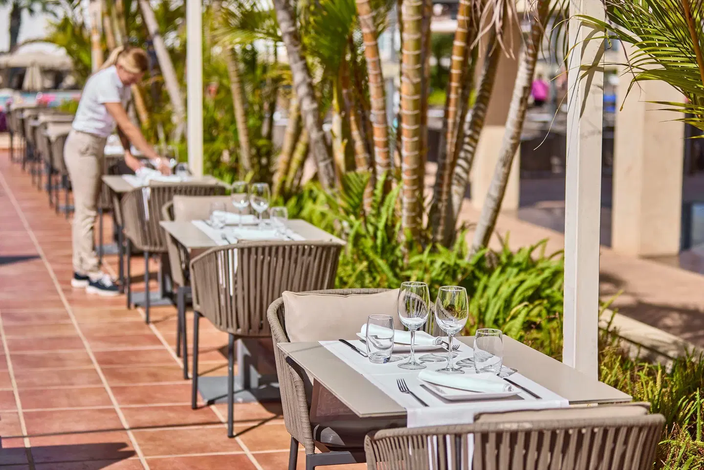 Zafiro Rey Don Jaime Terrasse