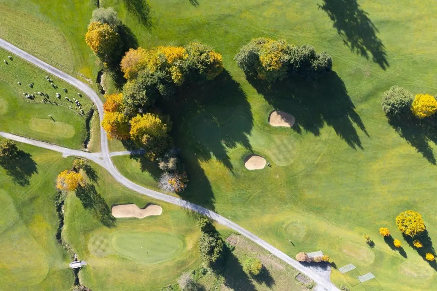 Golf & Alpin Wellness Resort Hotel Ludwig Royal Garten