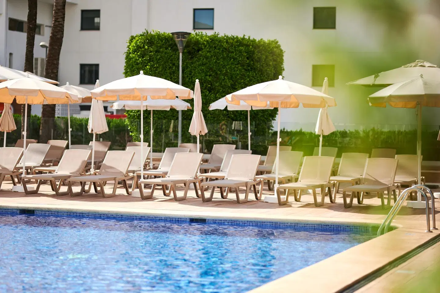 AluaSun Continental Park OUTDOOR_POOL