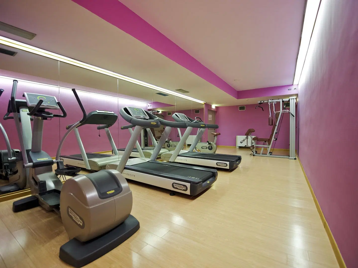Mercure Roma West SPORTS_AND_LEISURE