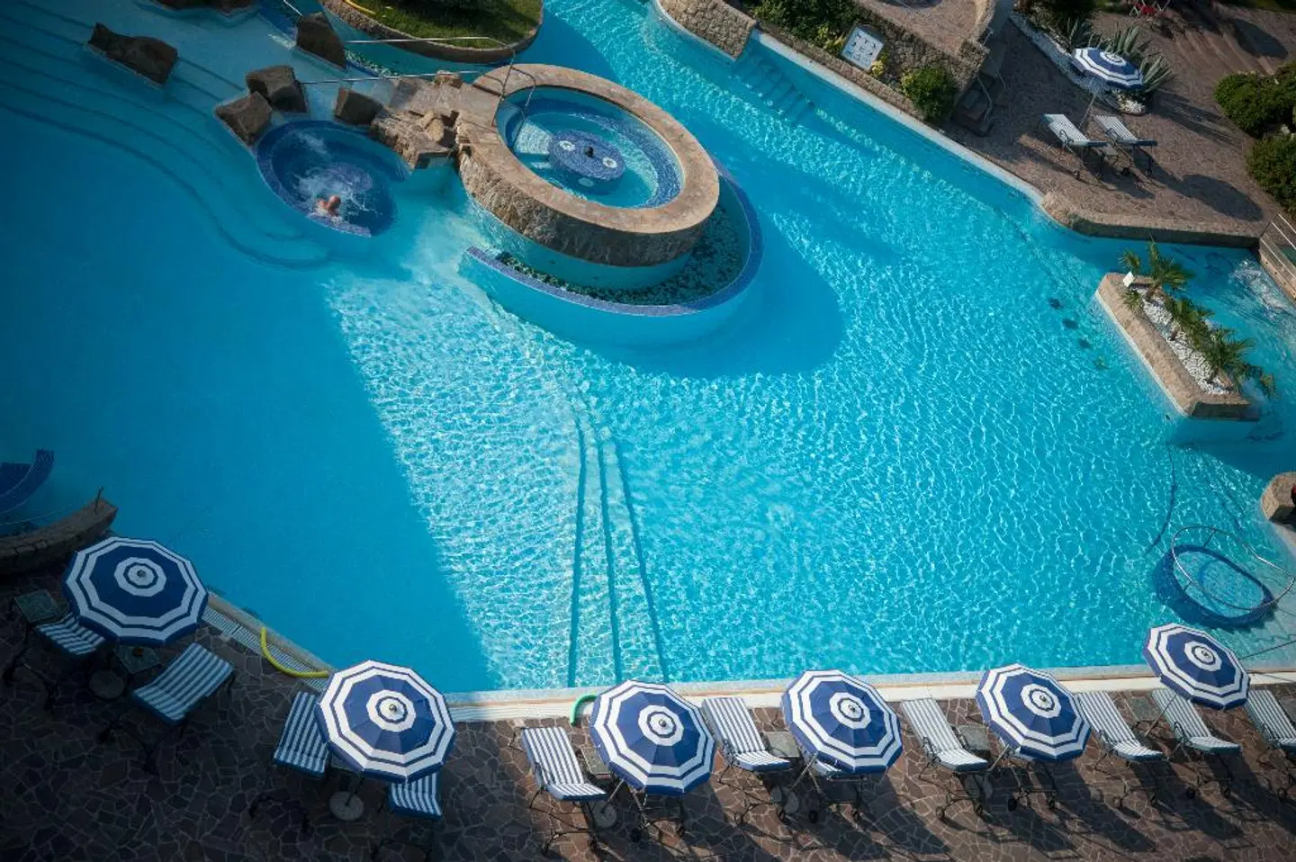 Hotel Splendid Tiere