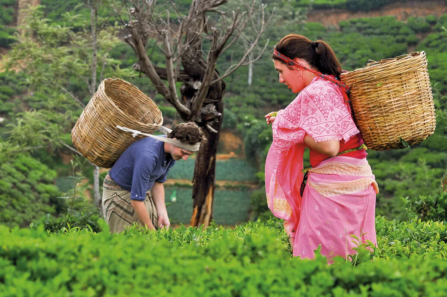 Heritance Tea Factory Hotel Tiere