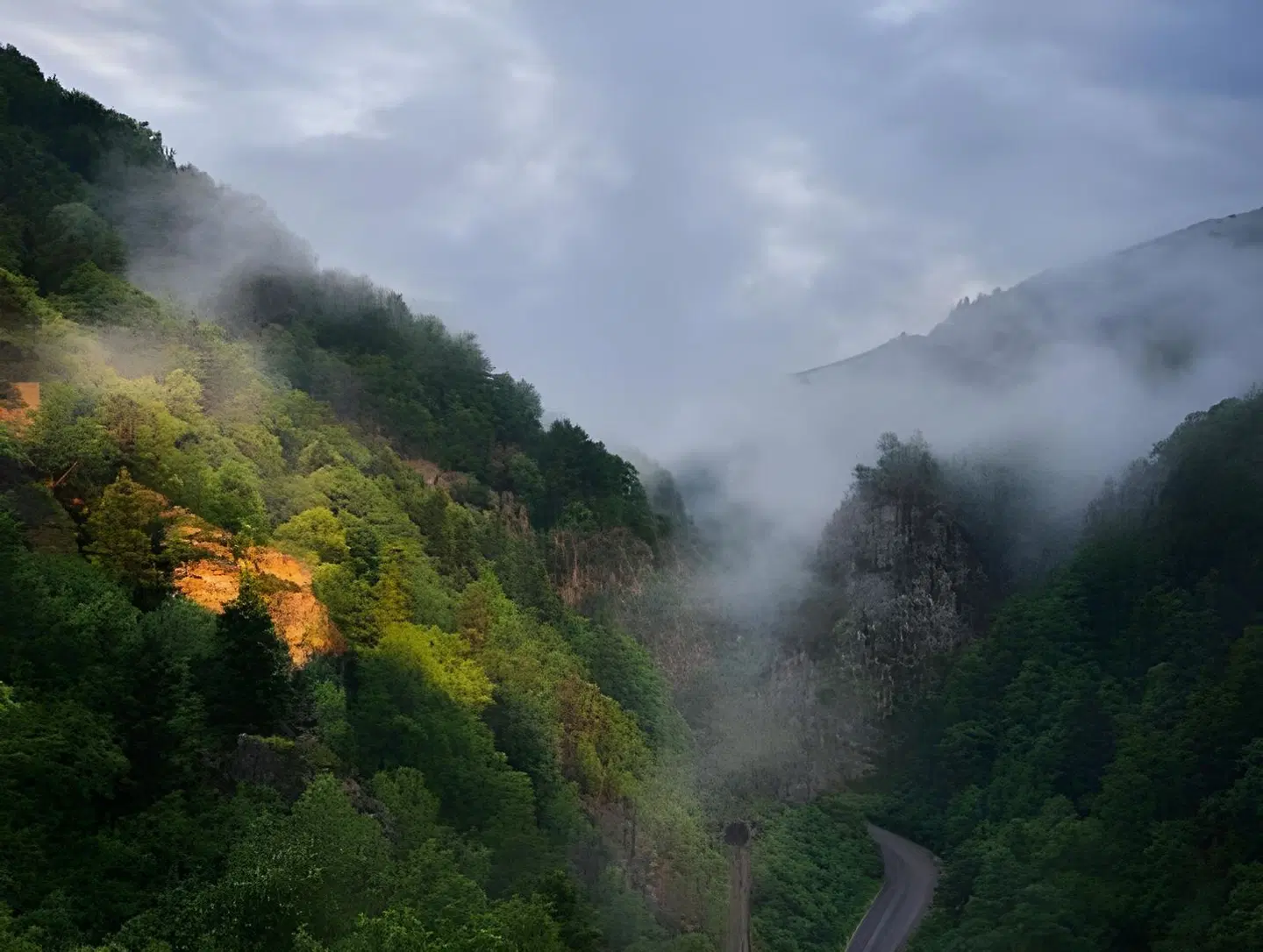 Appartements Waldrose LANDSCAPE
