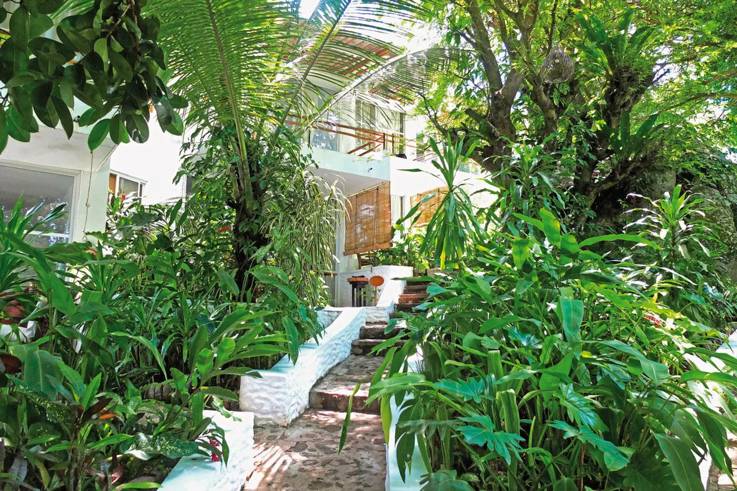 Bliss Hotel Seychelles Garten